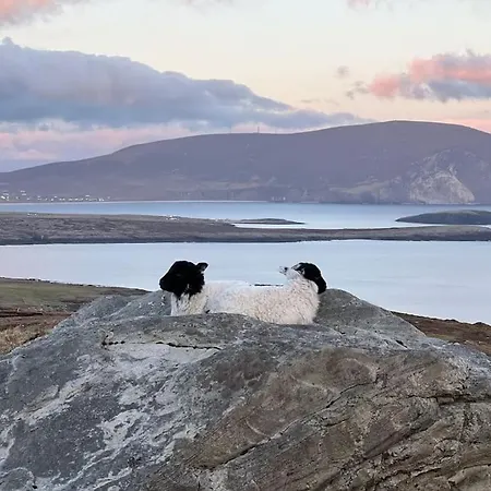 Spectacular Ocean Views In Tranquil And Private Location Casa vacanze *